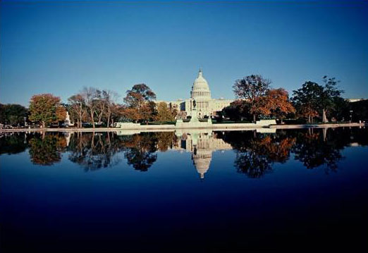 Washington, City of Trees